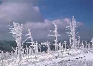 wintersport-korea