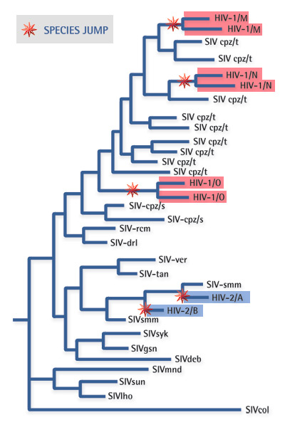 familytree