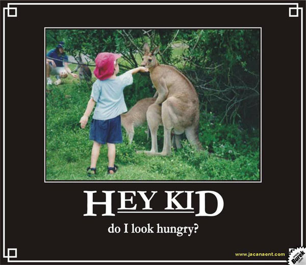 Bilder-Thread tpguZid hungry