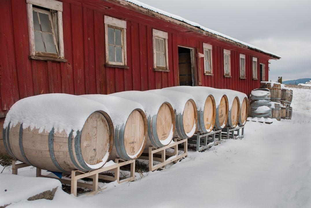 barrels-snow