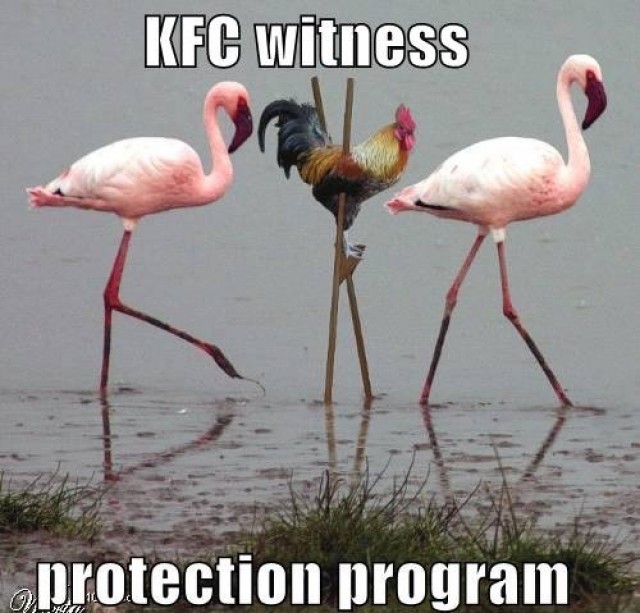 Bilder-Thread tqKvpQ6 KFC-Witness-e1302863283249