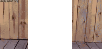 Bilder-Thread tqiot8U 22d4a716-0bfb-42d0-85ac-4d51cb19826b