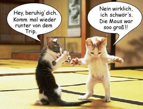 tqrAR2f_lustig5.jpg