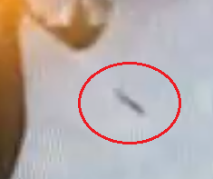 Hurrican Irene UFO