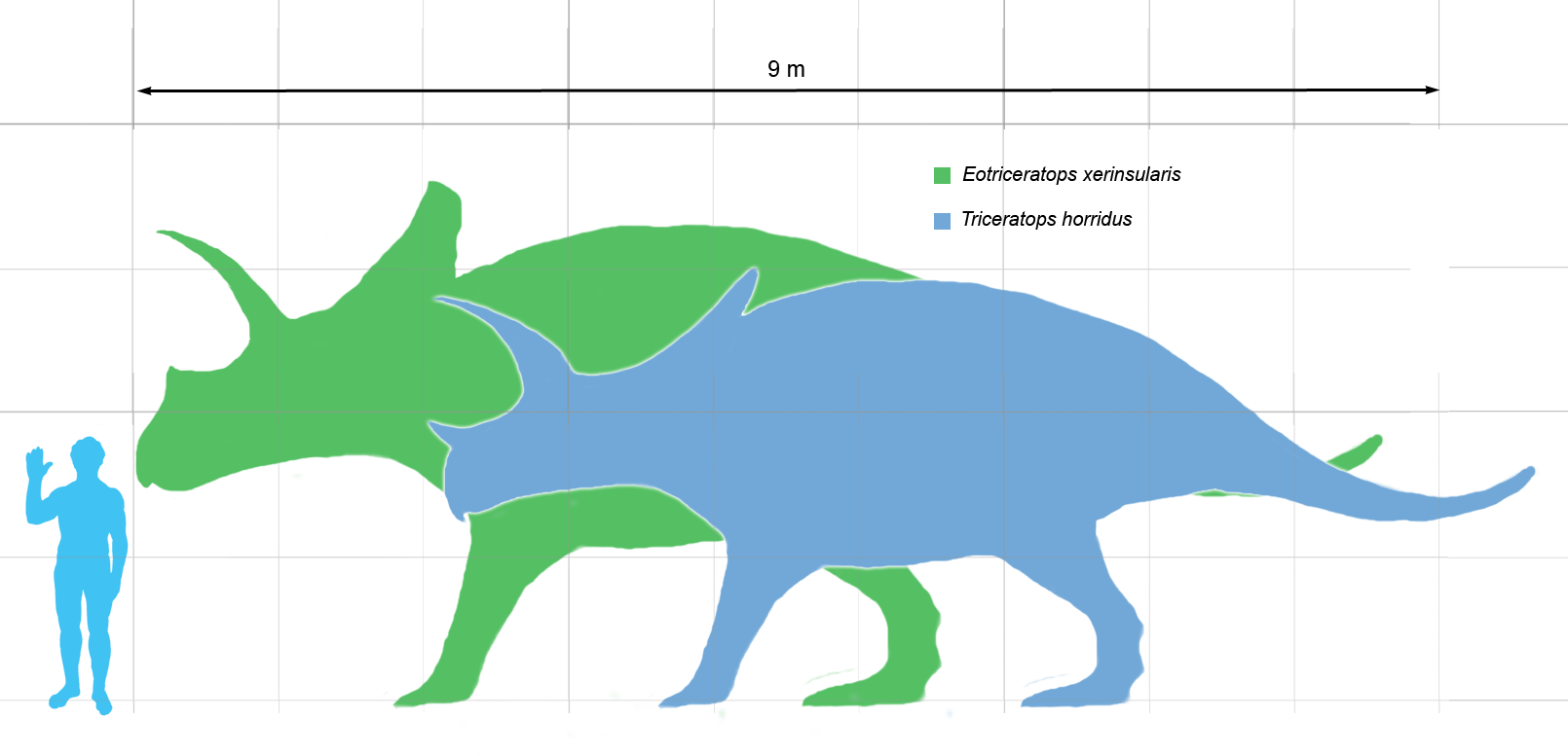 Eotriceratops scale