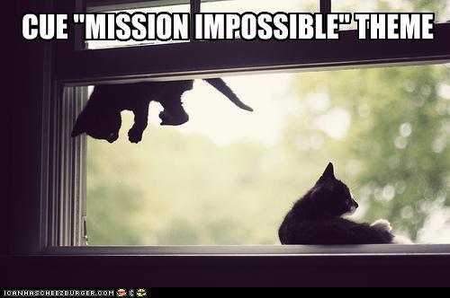 Bilder-Thread trfd2oT funny-pictures-cue-mission-impossible-th