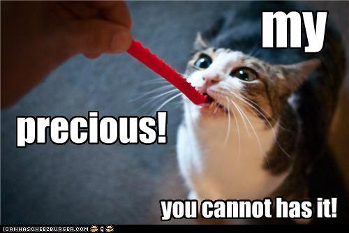 Bilder-Thread trrcB6i funny-pictures-my