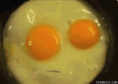 Bilder-Thread ts1QwLQ funny-gifs-egg-man