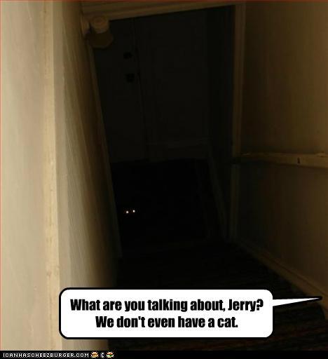 Bilder-Thread tsP9LtR funny-pictures-what-are-you-talking-abou