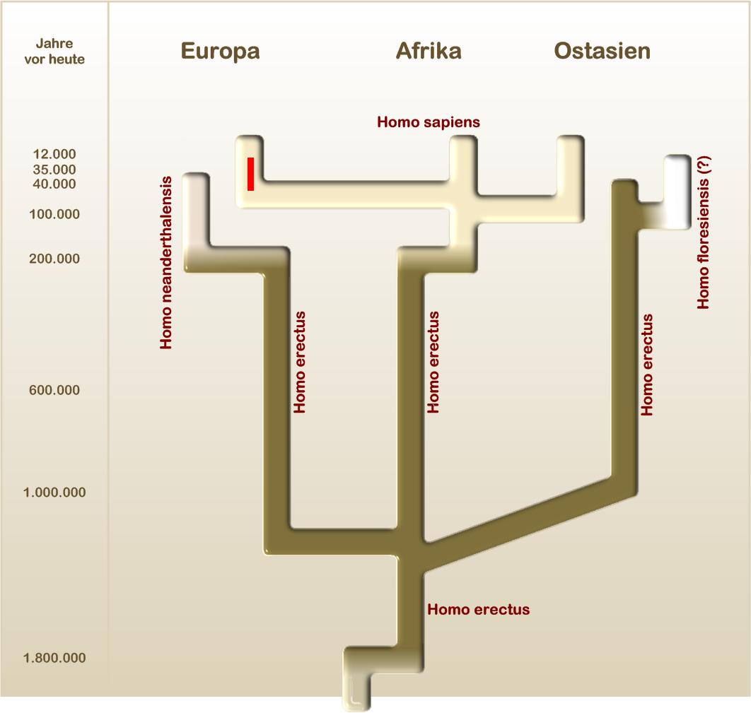 Homo lumper 28deutsch29-Cro-Magnon