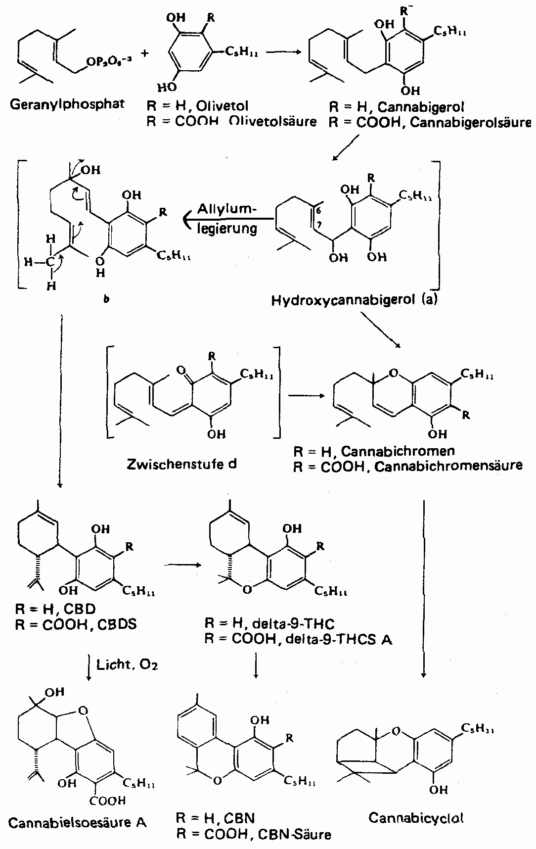 thc 1