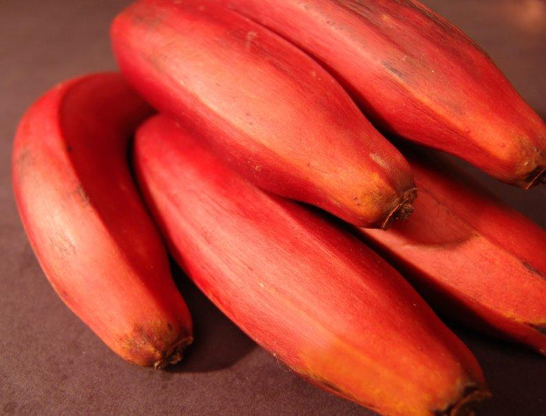 Rote-Banane1