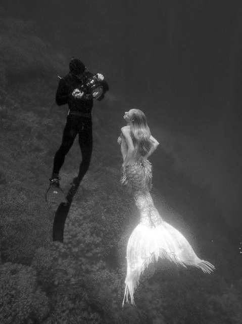 Bilder-Thread ttJJ6h9 kKh1nS diver mermaid