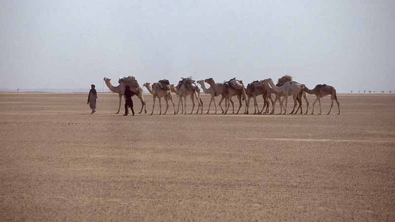 800px-KarawaneSahara1991