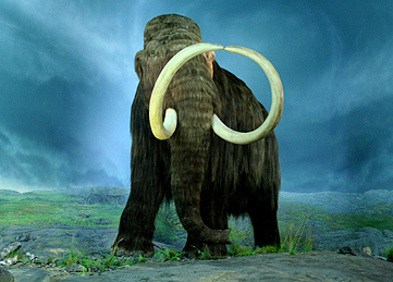jpg mammut