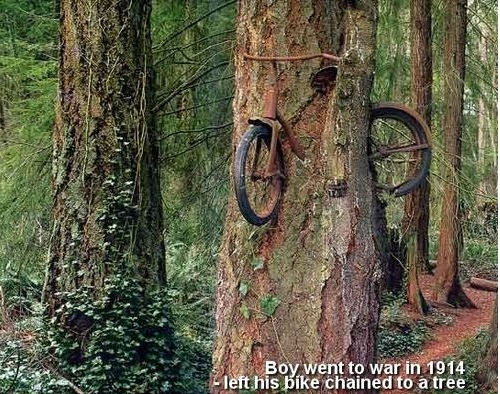 Bilder-Thread tuDwPhA tree bike
