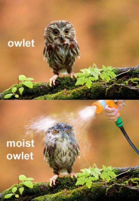 Bilder-Thread tuED2Il Funny-Pics-23.03.2012-7