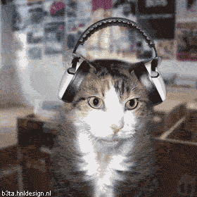 Bilder-Thread tuHaMtI 9Xmmzg gato-psy