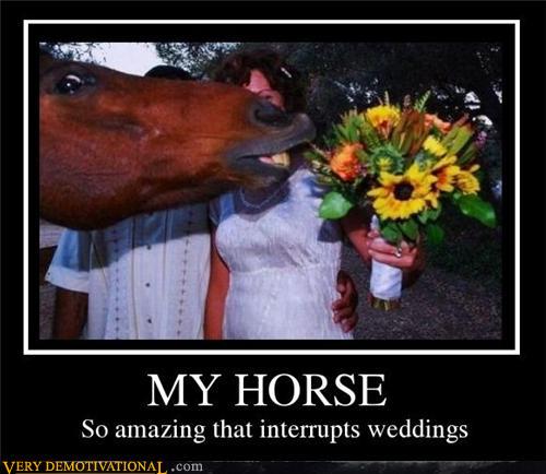 Bilder-Thread tuPt8Q9 demotivational-posters-my-horse