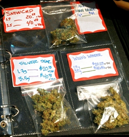 marijuana cs 20080801154944