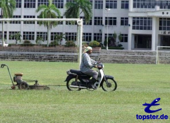 Bilder-Thread tukBdkv XUX0fX 364denraseasenmaehen