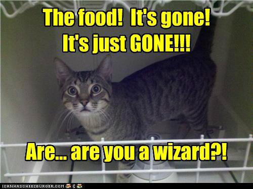 Bilder-Thread tukasE5 funny-pictures-cats-easily-bamboozled