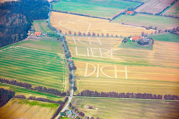 Landwirt-fraest-Herzensbotschaft-in-den-
