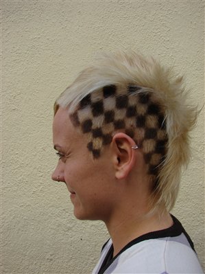Bilder-Thread tuuCgWJ hrRXyu haircut-punk-with-black-and-white
