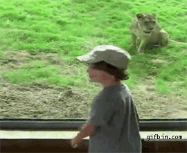Bilder-Thread tvADxMA 1299871944 kid-vs-lion-at-the-zoo
