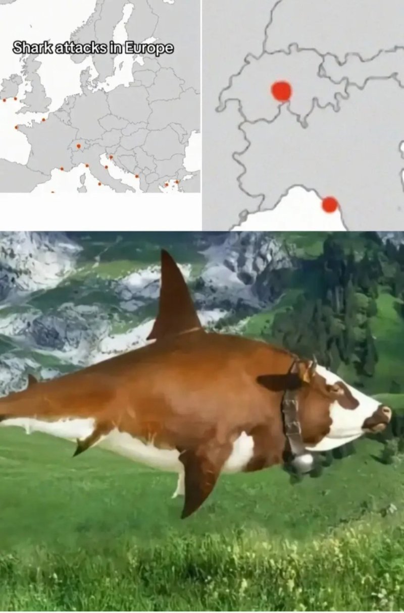 6758906-66b2f41d204556072b06ae9c95a31a2b