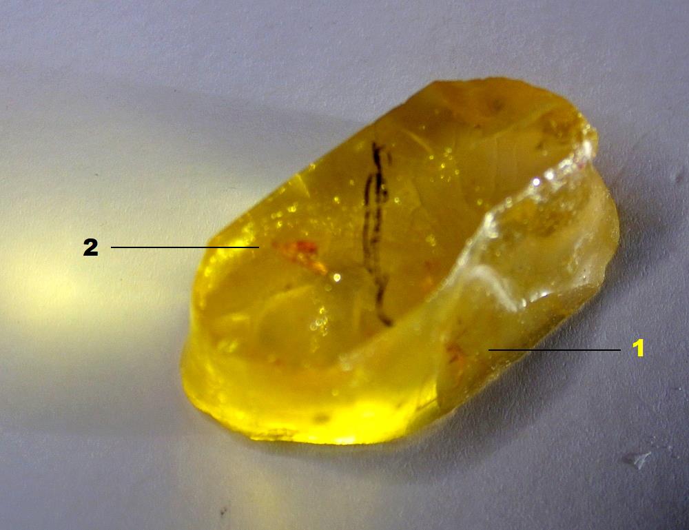 IMGP1024