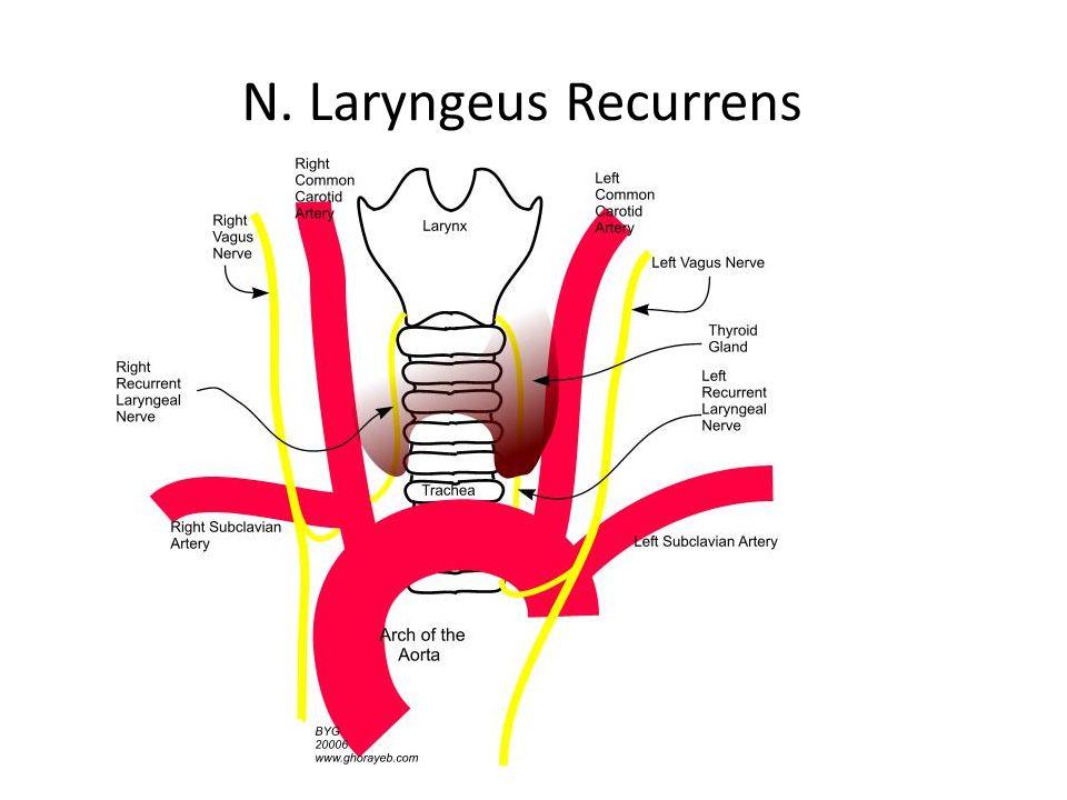 slide 19