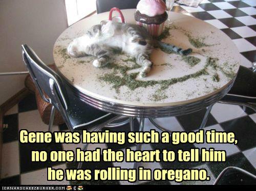 Bilder-Thread tvivfLf funny-pictures-the-placebo-effect-it-wor
