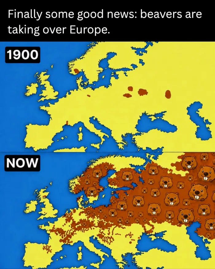 1000038357