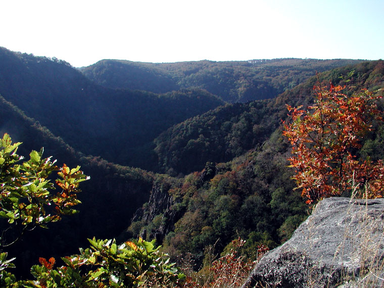 bodetal-herbst