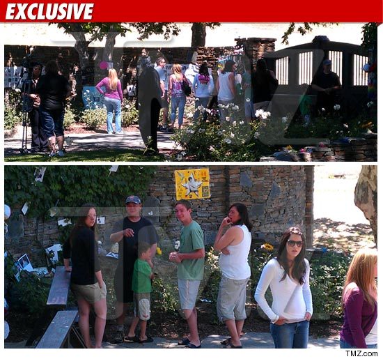 0625-neverland-tmz-ex-credit