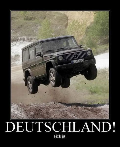 Bilder-Thread img.jpeg