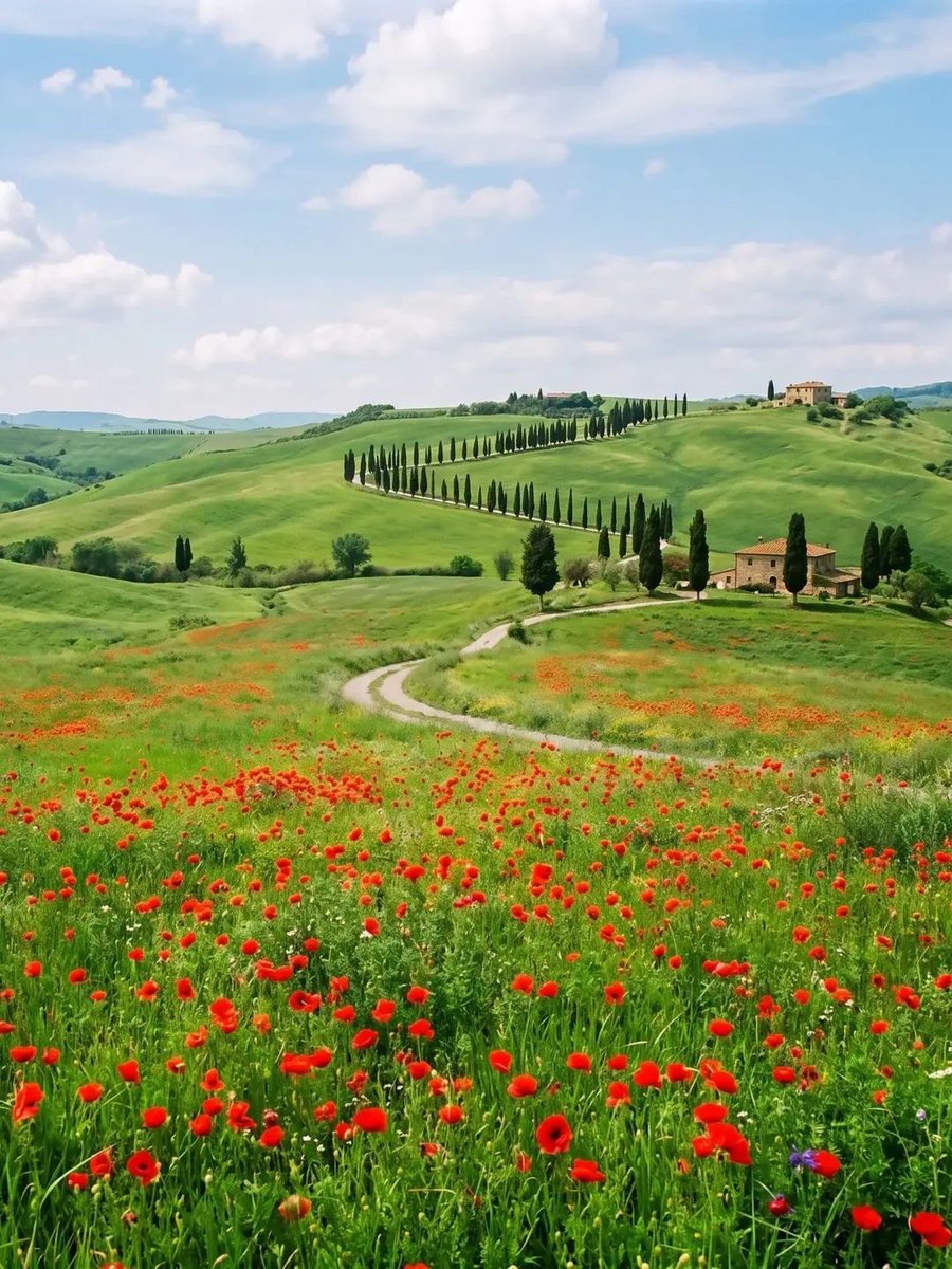 La Toscana 4 - Copy
