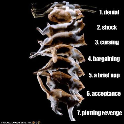Bilder-Thread twuA1V5 funny-pictures-the-stages-of-recovery