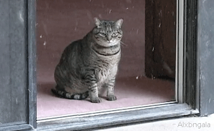 Bilder-Thread twxoxOK tumblr lsdj6gvoeH1qdjvh3o2 500