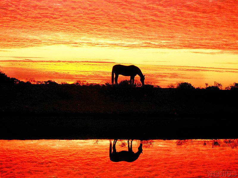 Sonnenuntergang an der Lahn