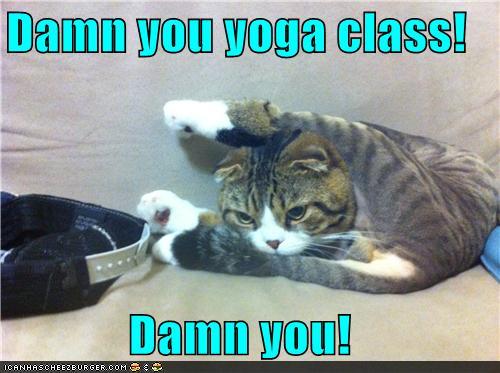 Bilder-Thread txUaIi2 funny-pictures-damn-you-yoga-class-damn-