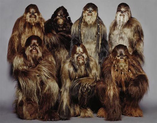 wookie family