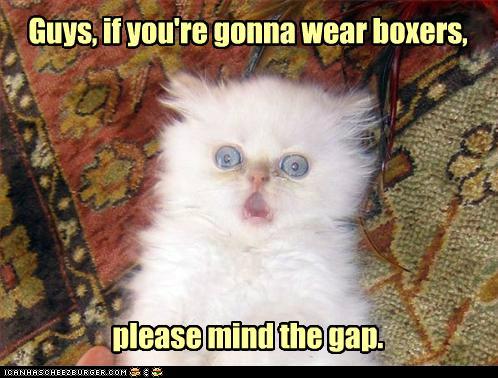 Bilder-Thread funny-pictures-unsee-unsee