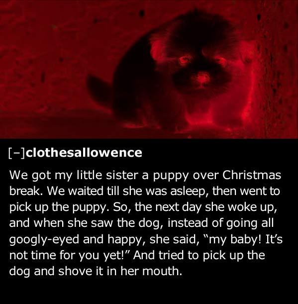 creepiest-things-kids-said-parents-puppy