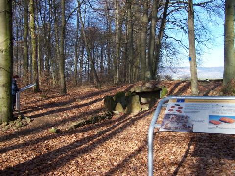 hinweistafeln am steinkistengrab geben a