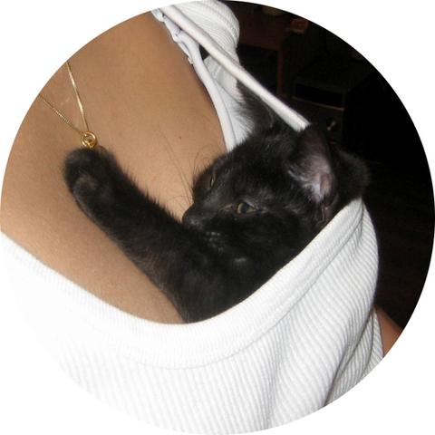 Bilder-Thread tyAyEFb Tierbabys Busen 17