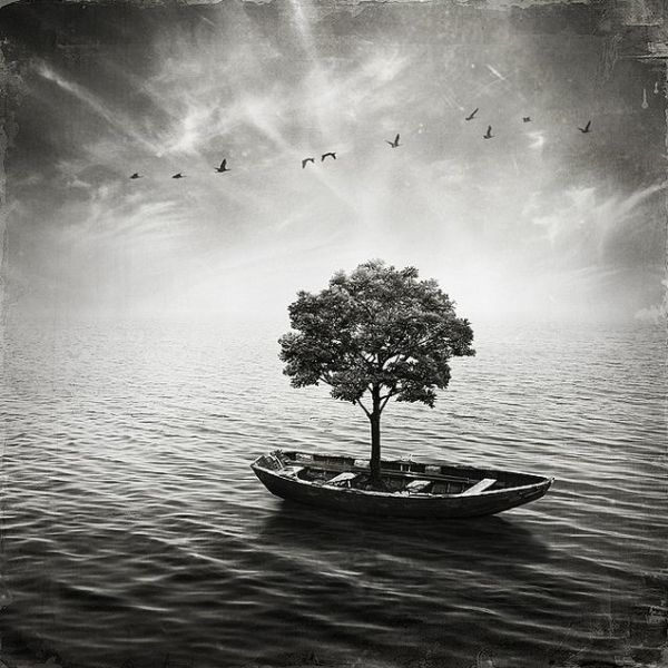 Bilder-Thread tyTYmzQ beautiful surreal photomanipulations 640