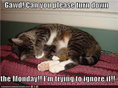 Bilder-Thread tydMdeo funny-pictures-gawd-can-you-please-turn-