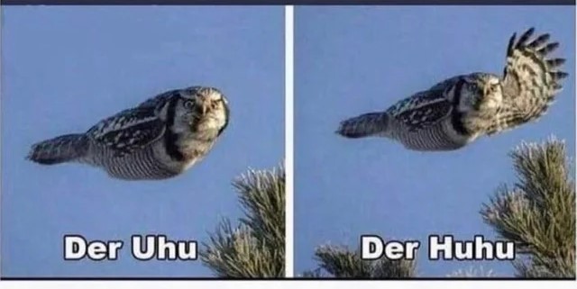 622432239 122305948250019387 18392025162